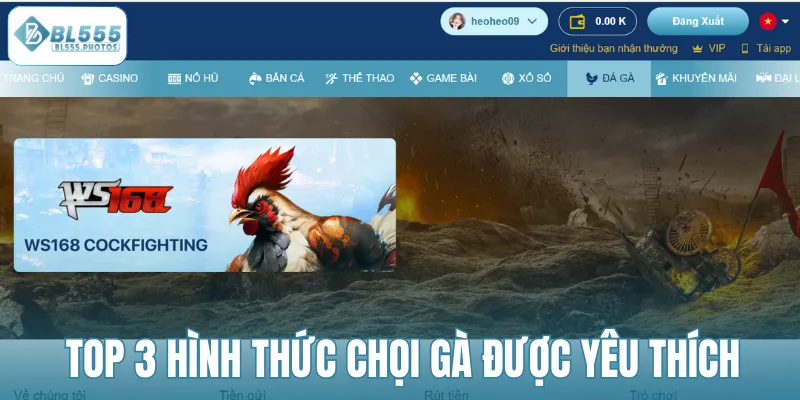 Top 3 hình thức chọi gà được yêu thích