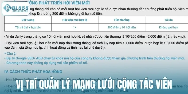 Vị trí quản lý mạng lưới cộng tác viên